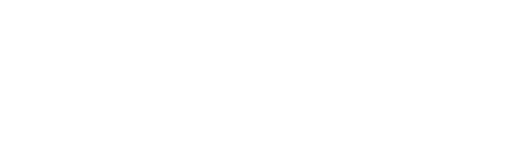 Elite Synthetic Surfaces